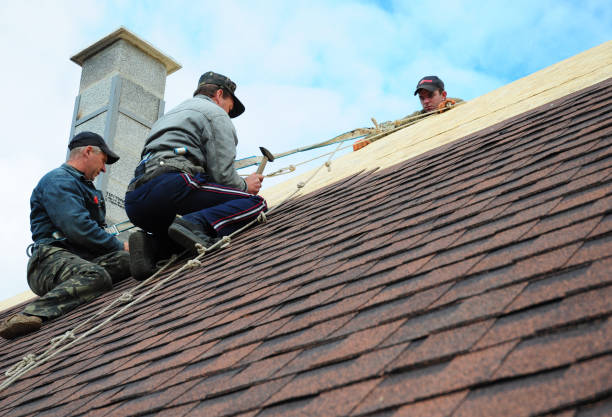 Best Roof Gutter Cleaning  in Deenwood, GA